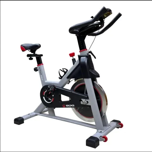 DMASUN Spinning Exercise Bike